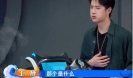 刘宪华吃火锅被爆料视频,真实生活引发网友热议